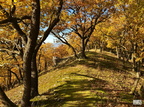 03 Nature